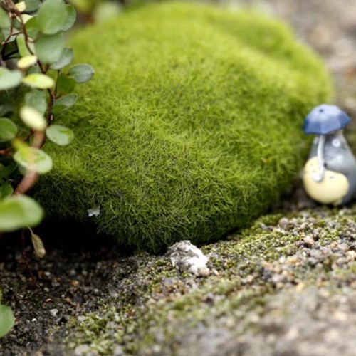 065bd35d2b5101ead517e9859db19450