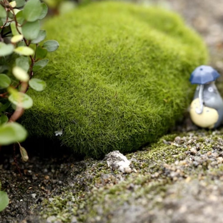 065bd35d2b5101ead517e9859db19450