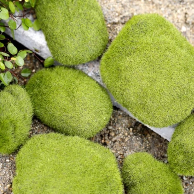 940260fc8192c43941e2b5c3e643a812