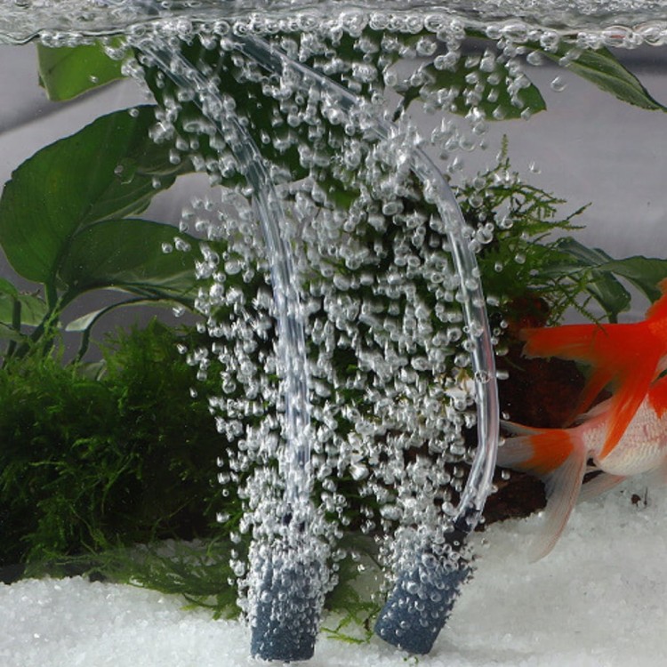 87f6d4059fdc504f838c402f0a6feab0