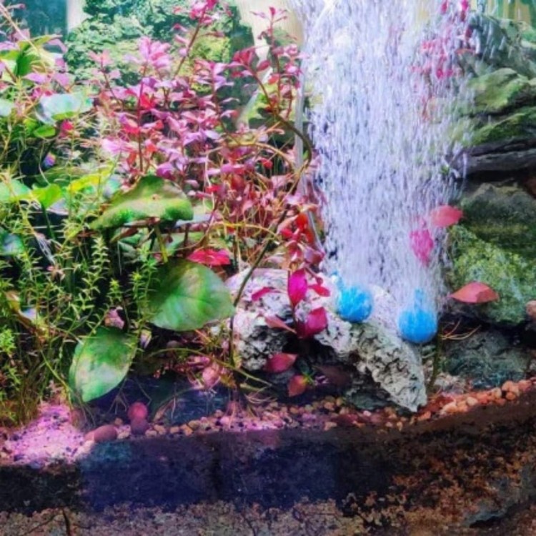 c4529309b642b0ad9b7aacdf9c21d4e5