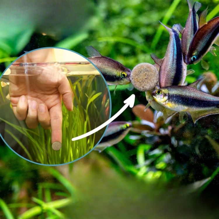 1345227c3345606edbc7ca66f7ba2f0f