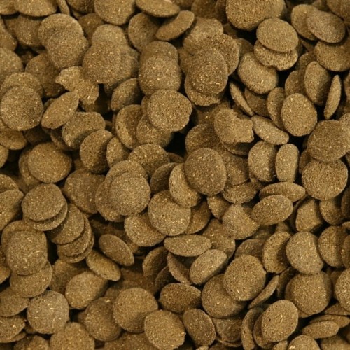 398ac3402b294f0845cc5f4eb533d782