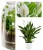 9e09babbf078eb4b5cc0c53fa8c6c51b