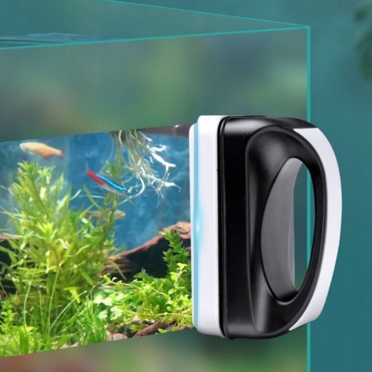 43a31b245c68a051ca44d54f20202531