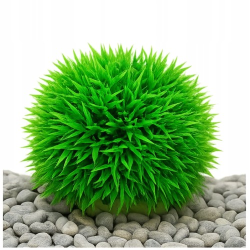 3821e1bb05d6d907fef24bbc27859434