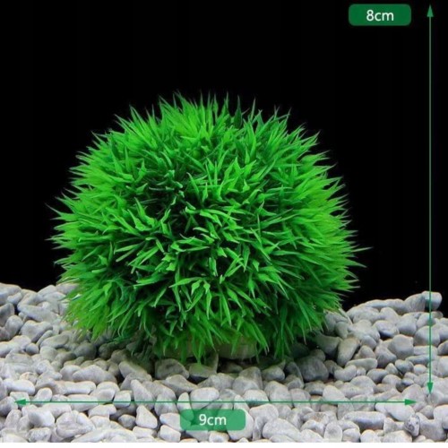 cdcb2901c532b85a21e097e65b2f945a