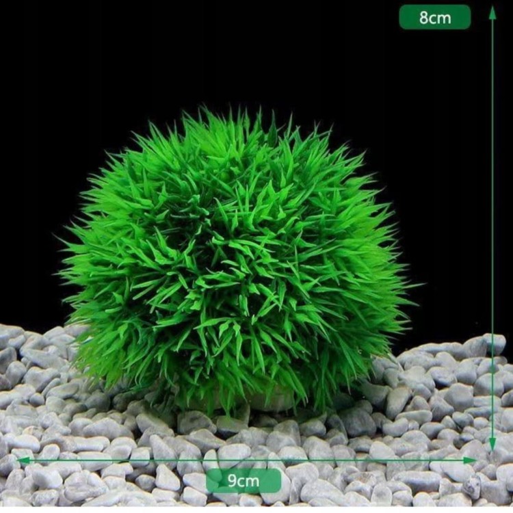 cdcb2901c532b85a21e097e65b2f945a