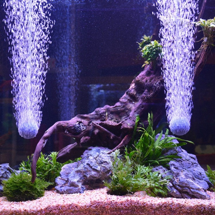 c403f305dd89f01e0dff50e449db8ce9