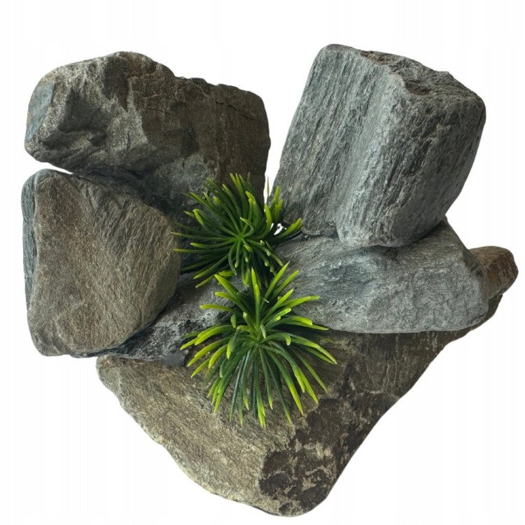 ff2cbe37e53e6042c691d27b4fc8caac