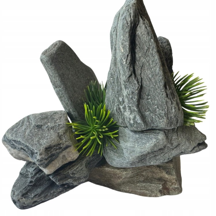 85c3a4a180f6b7df85dbcc082a265ecd