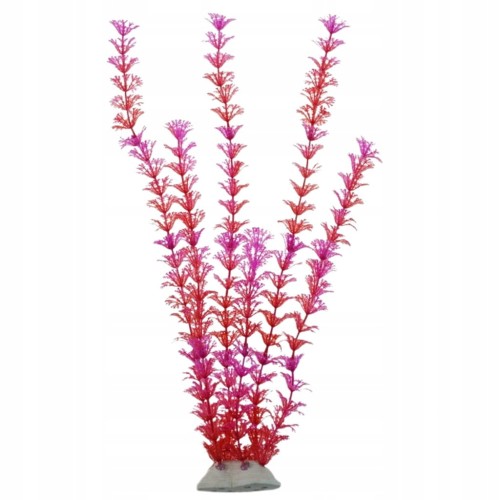 b103aa9b9779ab1fc4609f47cd0cf3d9