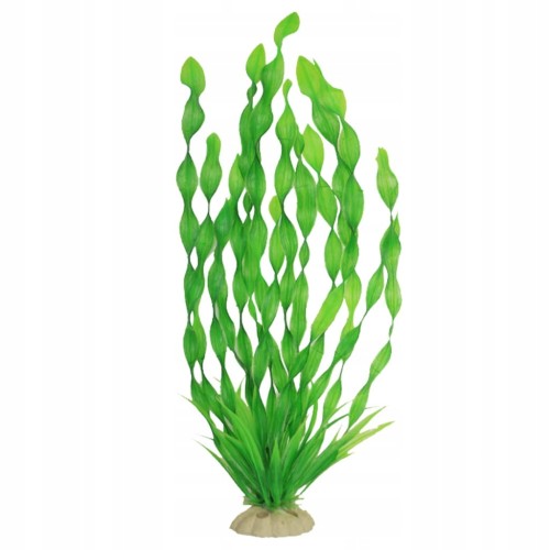 75dacdba2a0d3e77925c3c3b96b238f2