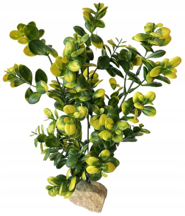 c9a81b732aac2eb76c5c5f36c3e8915a