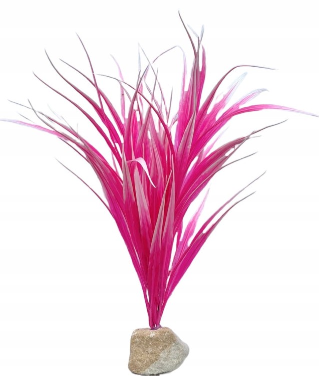 cdc40572365e2014d532186c1d3d9720