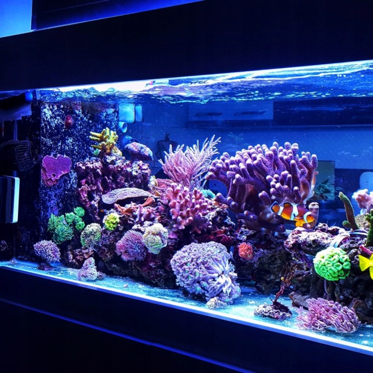 3855b7505b2dbba372cb23a11dd0bbc8