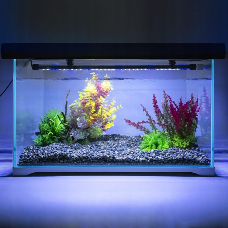 bb8e426ad0e472c83504a11cf8b222e7