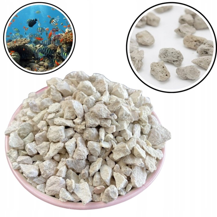 50a5ed0fe981a2e65d43d72fdd84623c