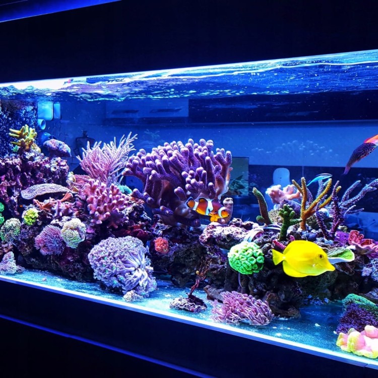 823f1f2353e331ad8446d184bae0bc47