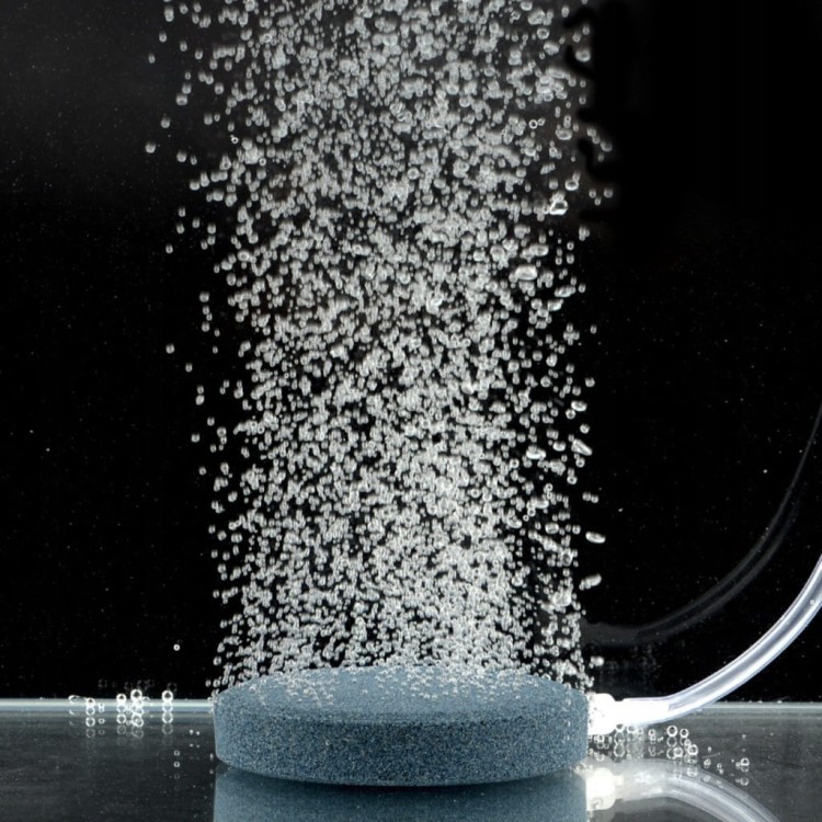 1ced8675f78648145a30c862f4fa6975