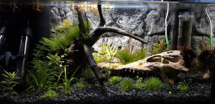 107e4725074abb303bfe8483f269ad6d