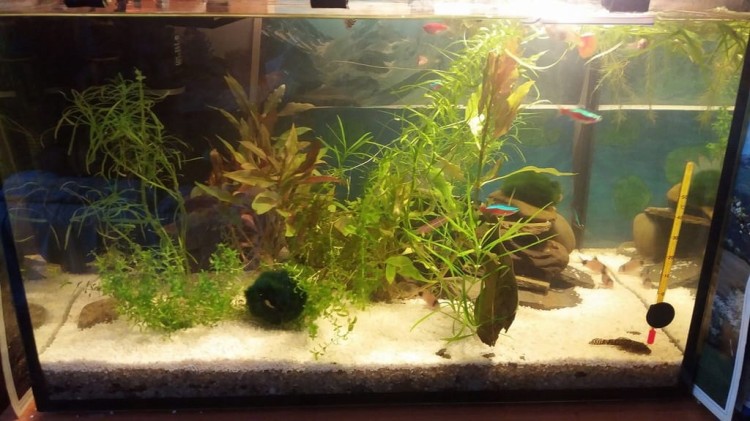 e5053981e0d76b8734d85aab1188d47f