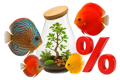 PROMOCJE