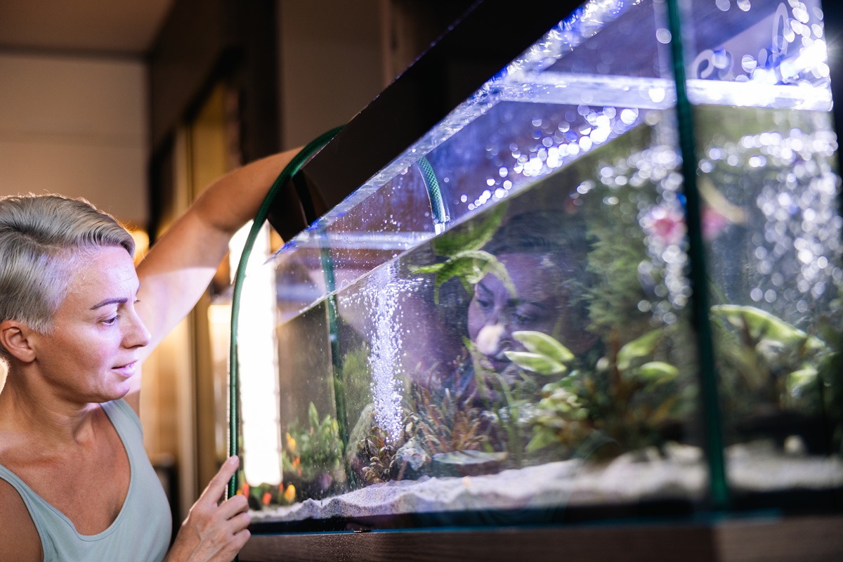 Jak założyć akwarium krok po kroku? Poradnik