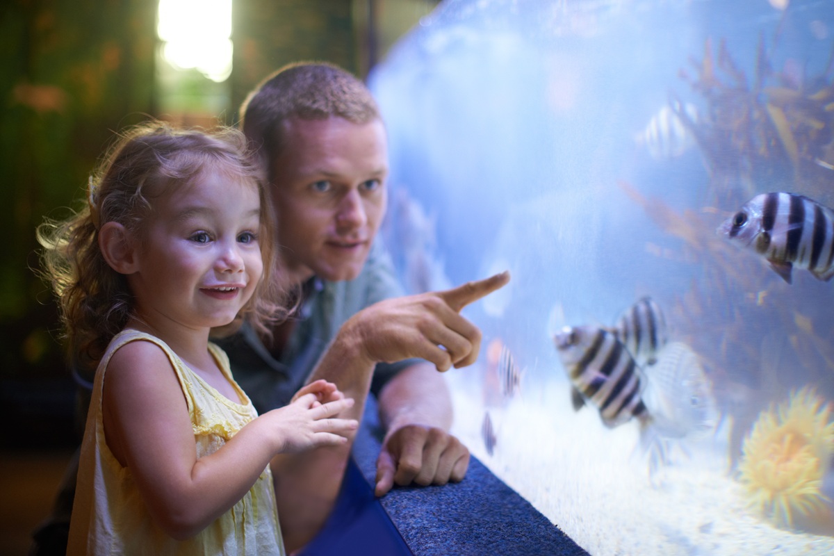 Jakie oświetlenie do akwarium wybrać? Poradnik krok po kroku